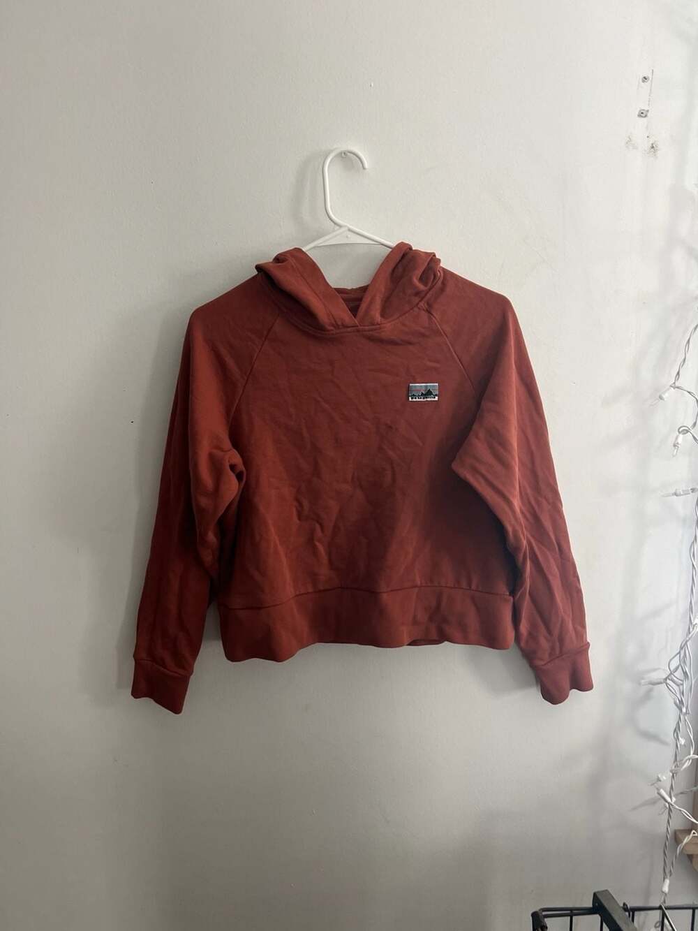 Patagonia Women's XS Regenerative Organic Certified Cotton Essential Hoody Rust